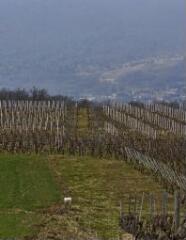 1 vue (ouvre la visionneuse)