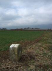 1 vue (ouvre la visionneuse)