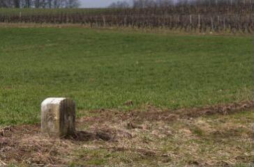 1 vue (ouvre la visionneuse)