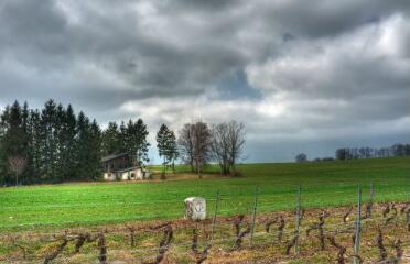 1 vue (ouvre la visionneuse)