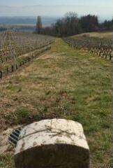 1 vue (ouvre la visionneuse)