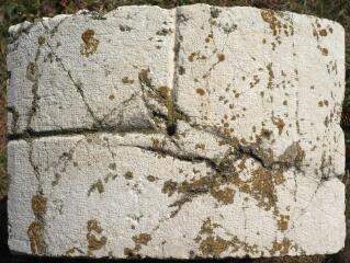 1 vue (ouvre la visionneuse)