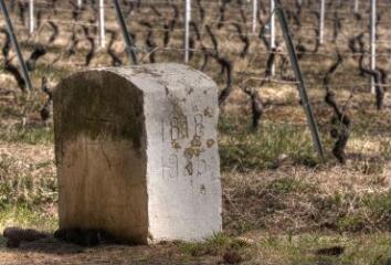 1 vue (ouvre la visionneuse)