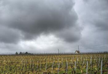 1 vue (ouvre la visionneuse)