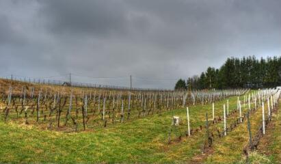 1 vue (ouvre la visionneuse)