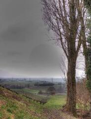 1 vue (ouvre la visionneuse)