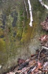 1 vue (ouvre la visionneuse)