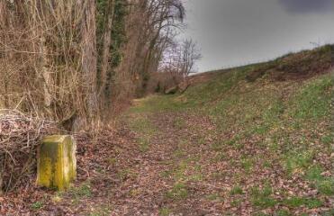 1 vue (ouvre la visionneuse)