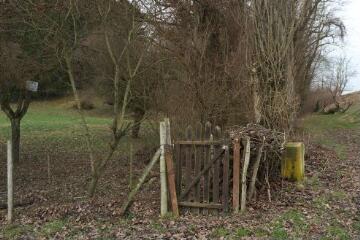 1 vue (ouvre la visionneuse)