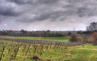 1 vue (ouvre la visionneuse)