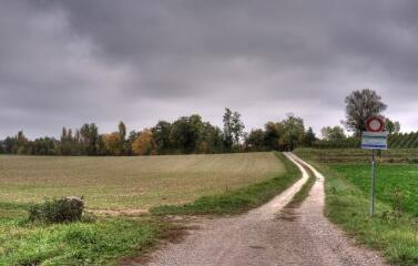 1 vue (ouvre la visionneuse)