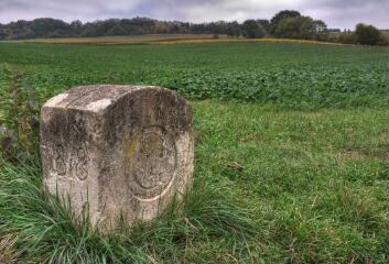 1 vue (ouvre la visionneuse)