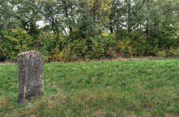 1 vue (ouvre la visionneuse)