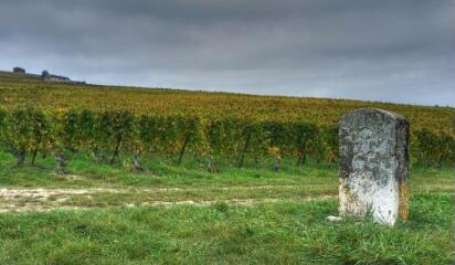 1 vue (ouvre la visionneuse)