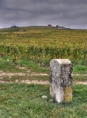 1 vue (ouvre la visionneuse)