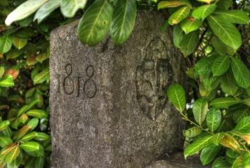 1 vue (ouvre la visionneuse)