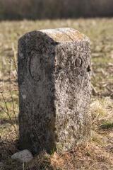 1 vue (ouvre la visionneuse)