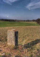 1 vue (ouvre la visionneuse)