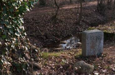 1 vue (ouvre la visionneuse)