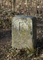 1 vue (ouvre la visionneuse)