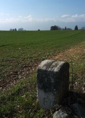 1 vue (ouvre la visionneuse)