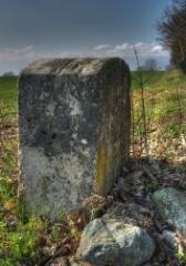 1 vue (ouvre la visionneuse)