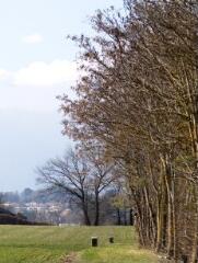 1 vue (ouvre la visionneuse)