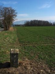 1 vue (ouvre la visionneuse)