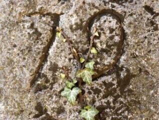 1 vue (ouvre la visionneuse)