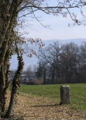 1 vue (ouvre la visionneuse)