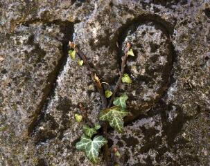 1 vue (ouvre la visionneuse)