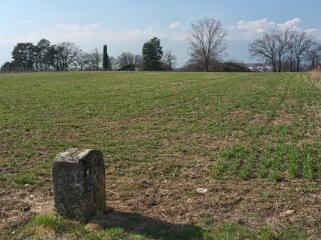 1 vue (ouvre la visionneuse)