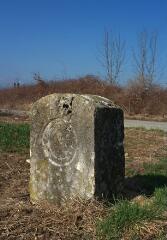 1 vue (ouvre la visionneuse)