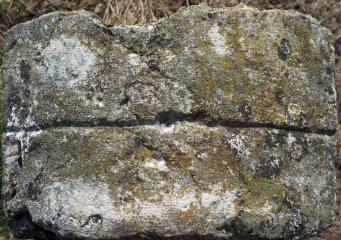 1 vue (ouvre la visionneuse)