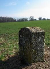 1 vue (ouvre la visionneuse)