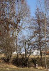 1 vue (ouvre la visionneuse)