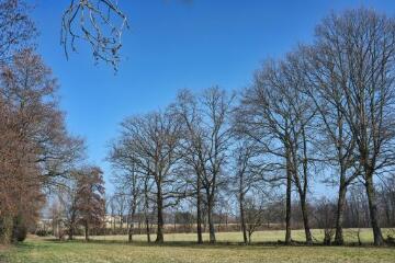 1 vue (ouvre la visionneuse)