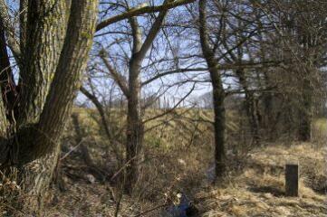 1 vue (ouvre la visionneuse)