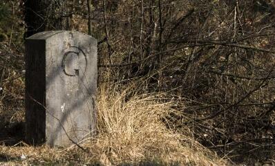 1 vue (ouvre la visionneuse)