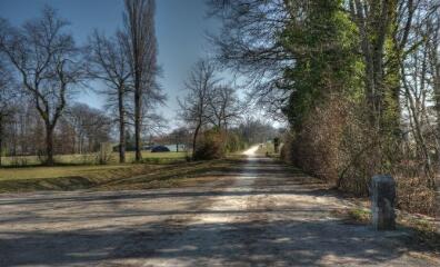 1 vue (ouvre la visionneuse)