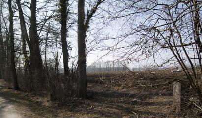 1 vue (ouvre la visionneuse)