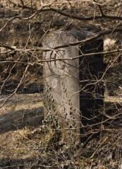 1 vue (ouvre la visionneuse)