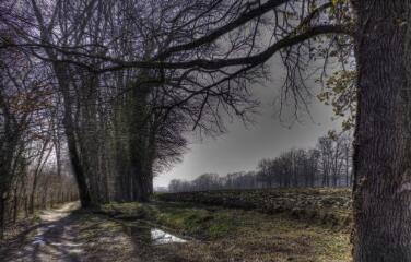 1 vue (ouvre la visionneuse)