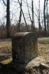 1 vue (ouvre la visionneuse)