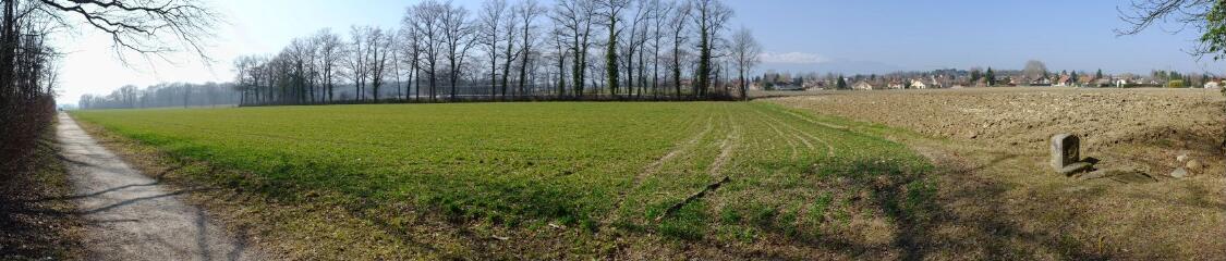 1 vue (ouvre la visionneuse)