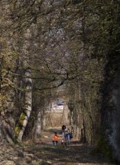 1 vue (ouvre la visionneuse)