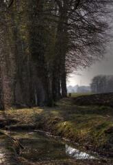 1 vue (ouvre la visionneuse)