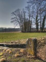 1 vue (ouvre la visionneuse)