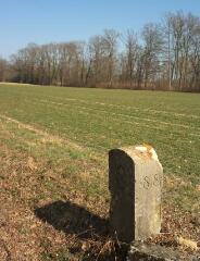 1 vue (ouvre la visionneuse)