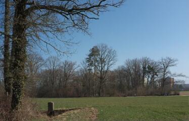 1 vue (ouvre la visionneuse)